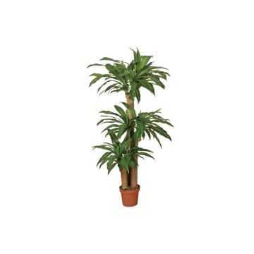 Kunstpflanzen Dracena 145cm