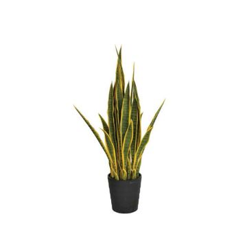 Kunstpflanzen Sansevieria bicolor 105cm