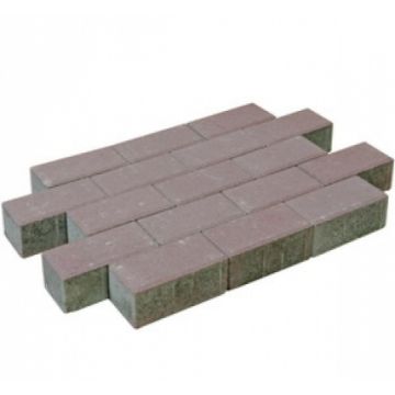 Pavé béton bruyere 21x10,5x7cm (m2)