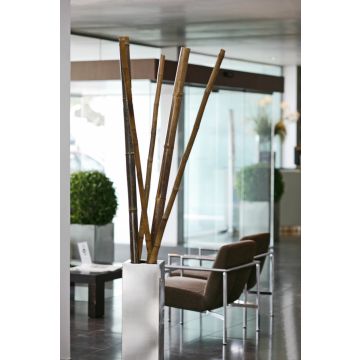 Tuteurs en bambou 180cm 60-70mm (4pcs)