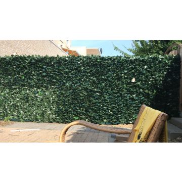 Haie artificielle hedera 150x300cm