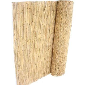 Reed fencing 2x5m