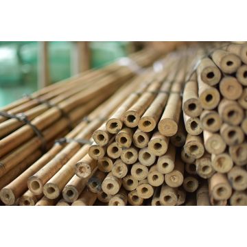 Bamboo stakes 210cm (100pcs)