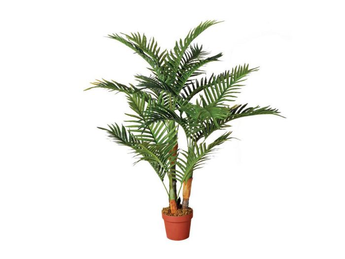Regan bijwoord web Kunstplanten Palm 120cm kopen? | Intergard ✓ Scherpste prijs!