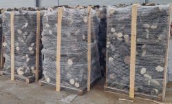 Firewood logs hornbeam (800kg)