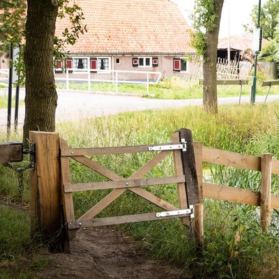 Tuinpoort tuinhek eiken 90x100cm